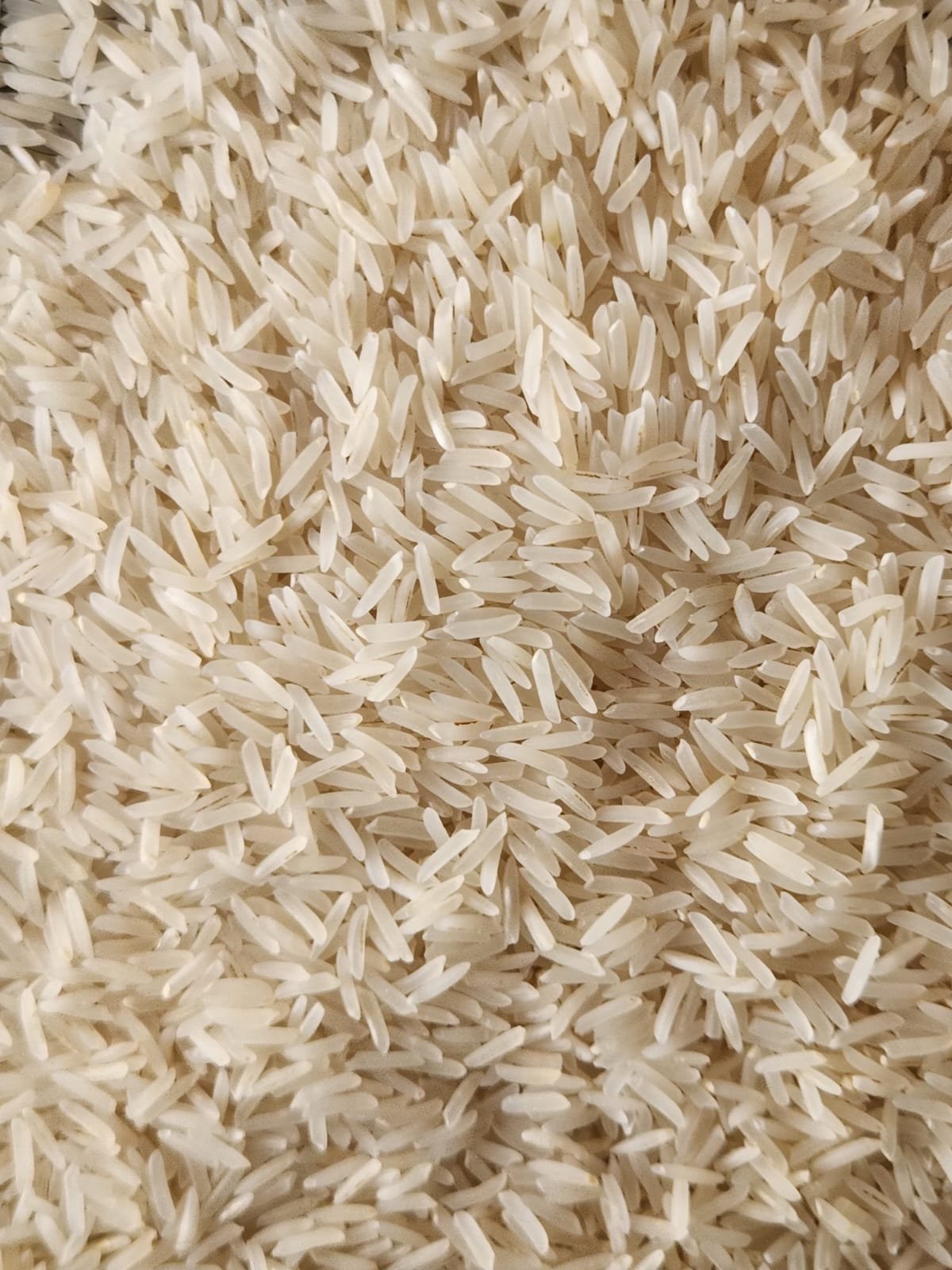 Sharbati Basmati rice