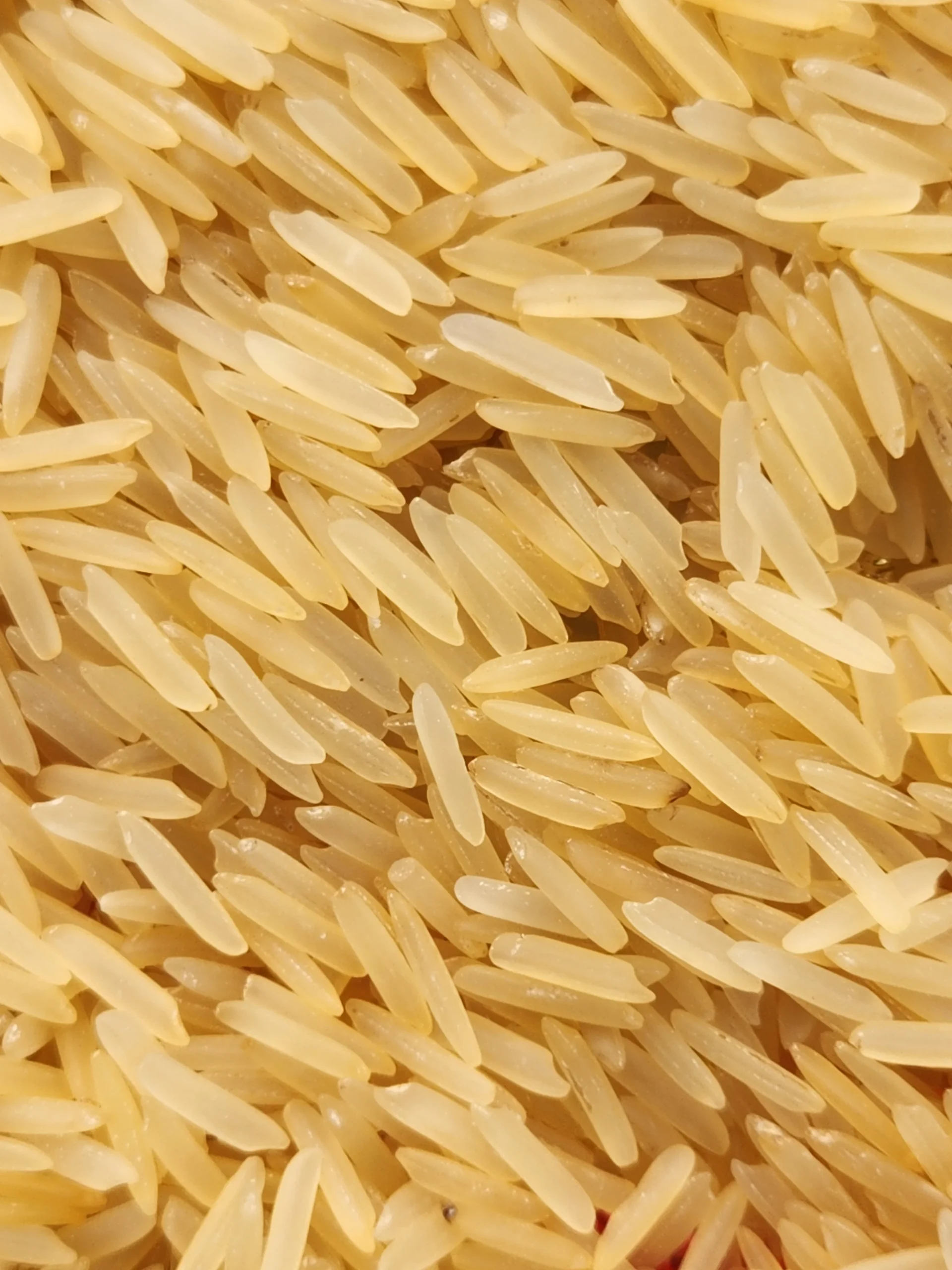 PR-11 Golden Sella Rice