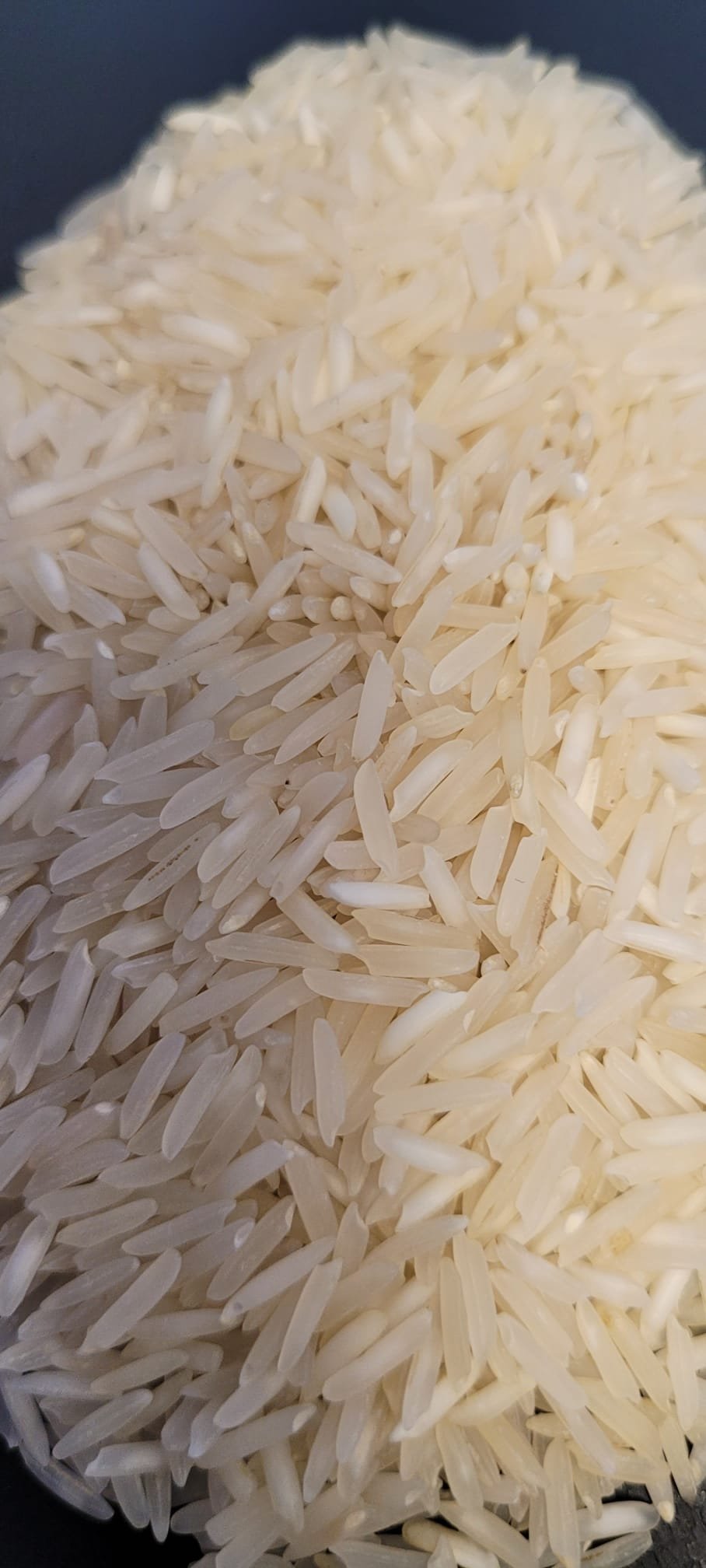 1401 Steam Rice