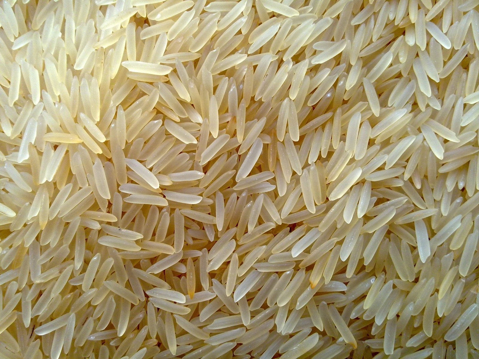 1401 Rice Processing