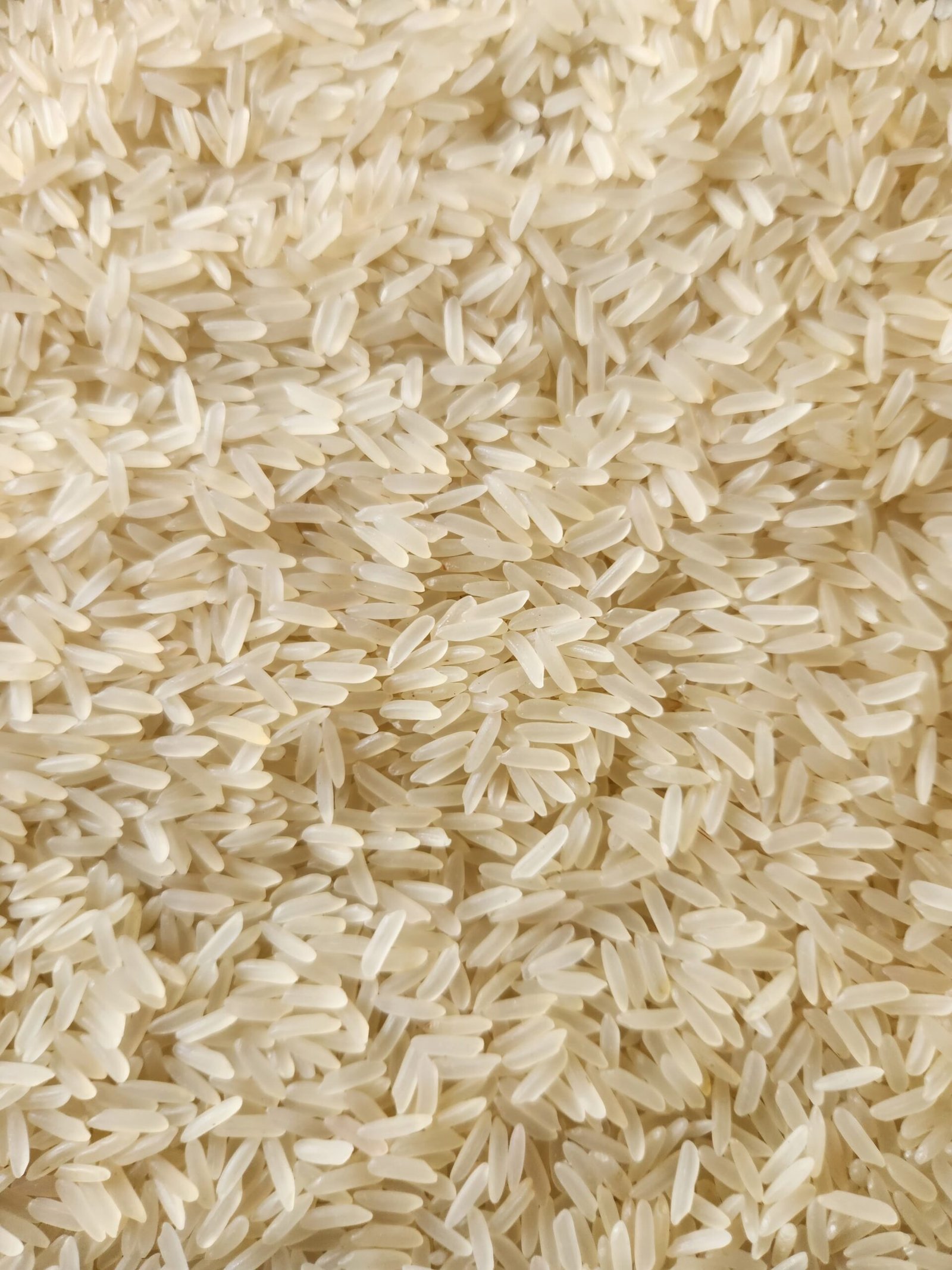 PR-11 Creamy Sella Rice