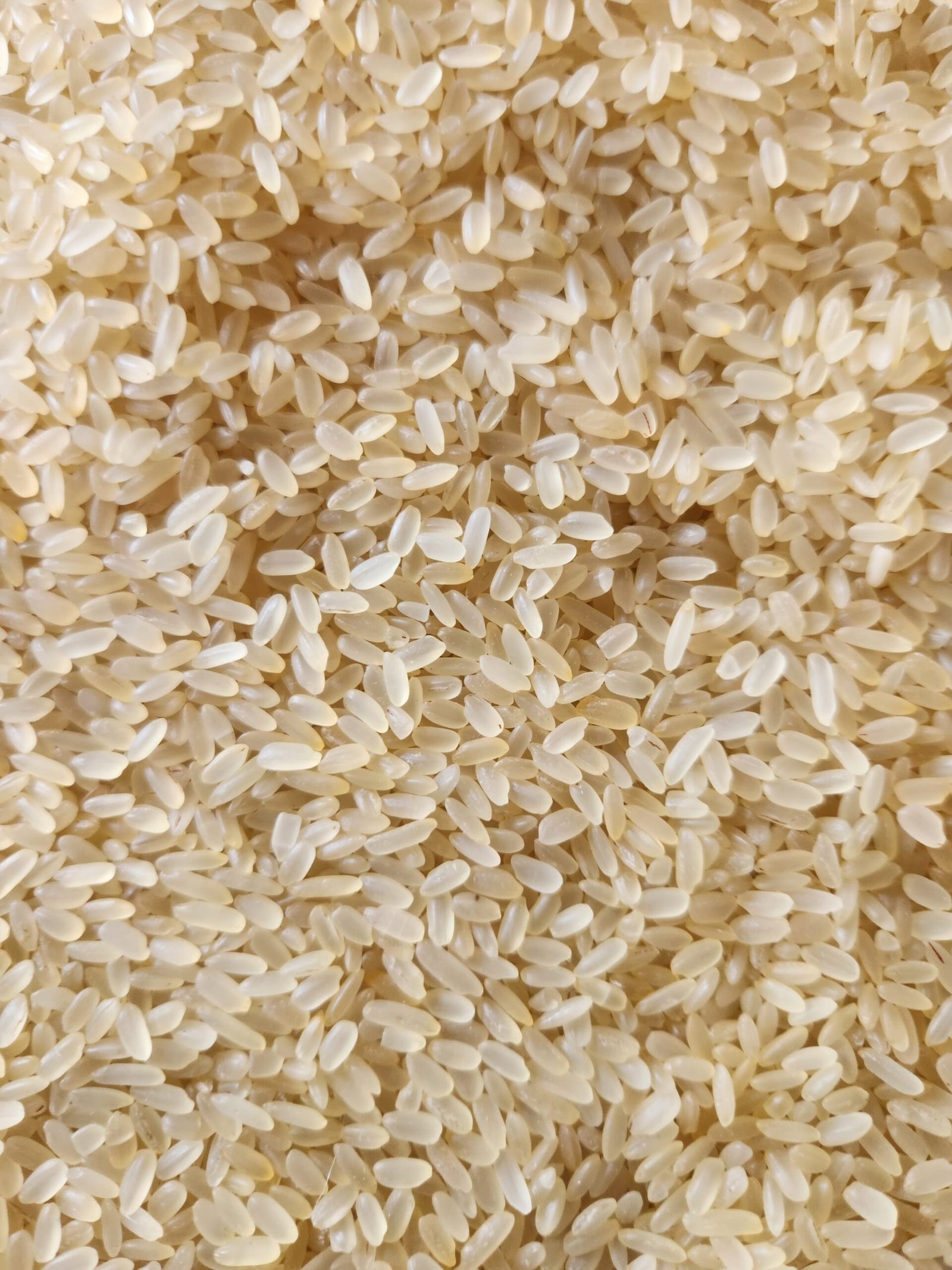 Swarna Rice